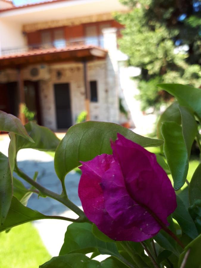 Villa George Afytos Exterior photo